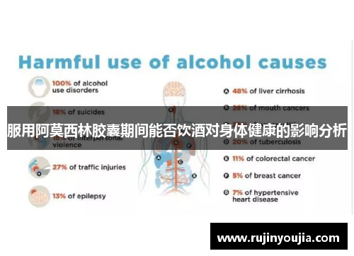 服用阿莫西林胶囊期间能否饮酒对身体健康的影响分析